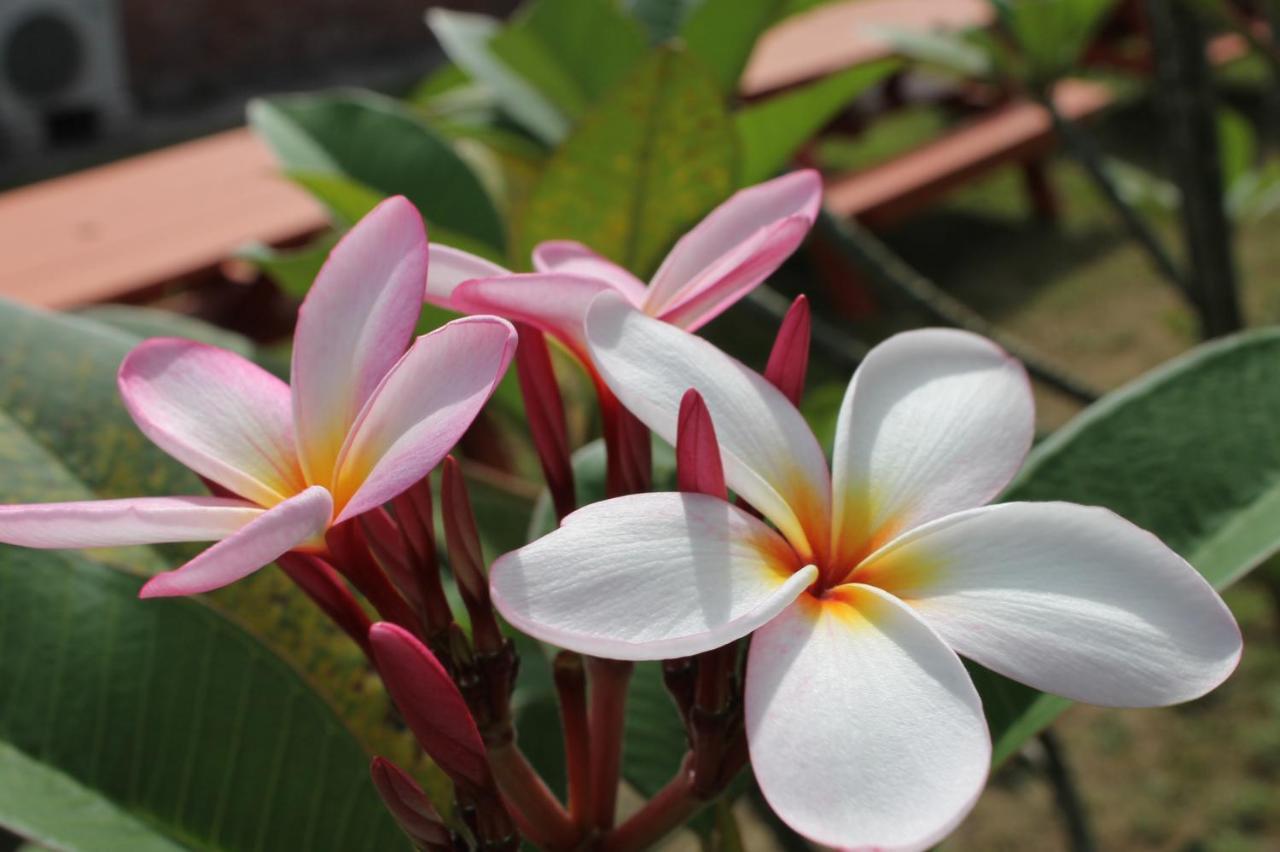 北谷 Vacation House Malapua Chatan Esterno foto